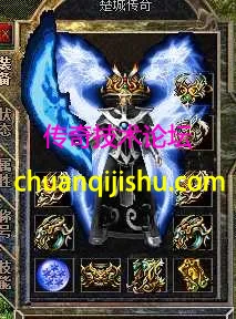 5.webp
