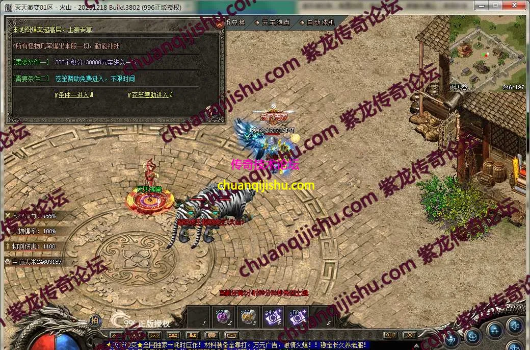 41.webp