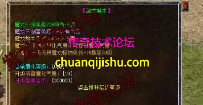 5.webp